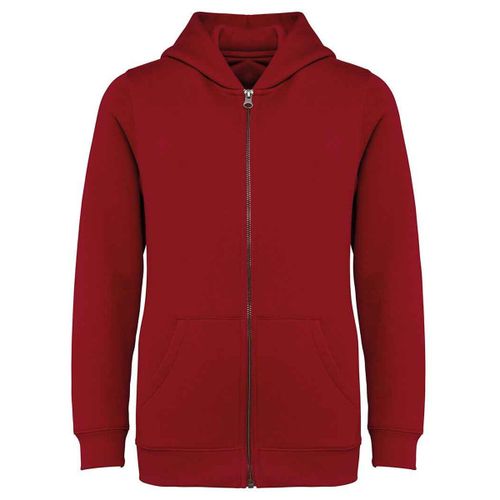 Sweatshirts à capuche NS405 - Native Spirit - Modalova