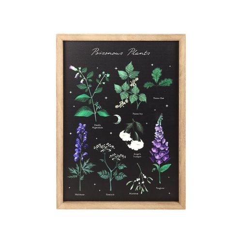 Affiches, posters SD9925 - Something Different - Modalova