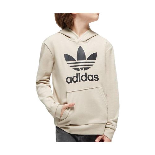 Sweatshirts à capuche Trefoil Hoodie - adidas - Modalova