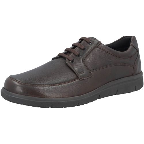 Baskets Solidus Hardy - Solidus - Modalova