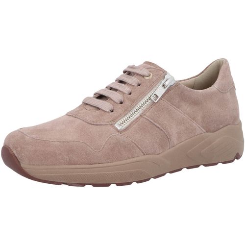 Baskets Solidus Hills - Solidus - Modalova