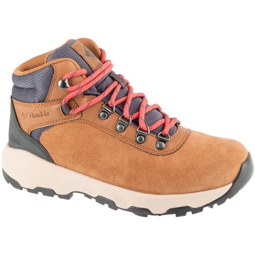Chaussures Newton Wander WP - Columbia - Modalova