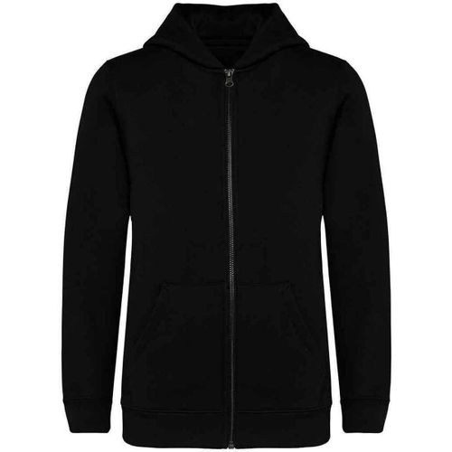 Sweatshirts à capuche NS405 - Native Spirit - Modalova