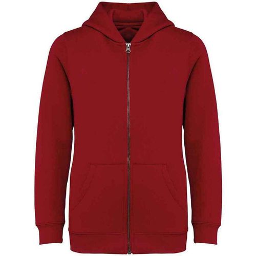 Sweatshirts à capuche NS405 - Native Spirit - Modalova