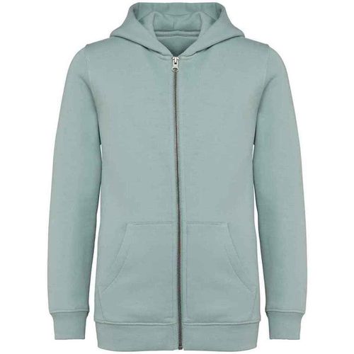 Sweatshirts à capuche NS405 - Native Spirit - Modalova