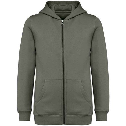 Sweatshirts à capuche NS405 - Native Spirit - Modalova