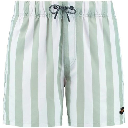 Maillots de bain Short de Bain Mac Vert Clair - Shiwi - Modalova