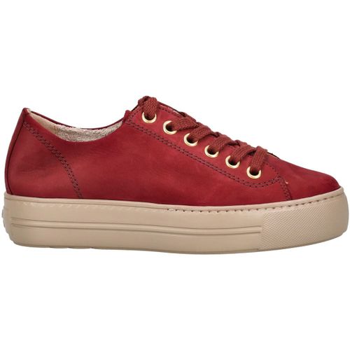 Baskets basses Paul Green Sneaker - Paul Green - Modalova