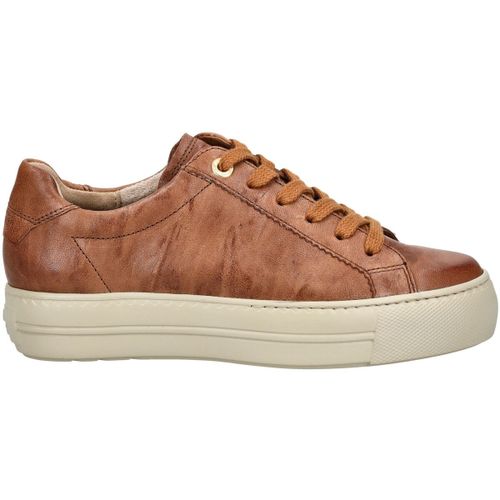 Baskets basses Paul Green Sneaker - Paul Green - Modalova