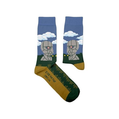 Chaussettes Pink Floyd PH4273 - Pink Floyd - Modalova