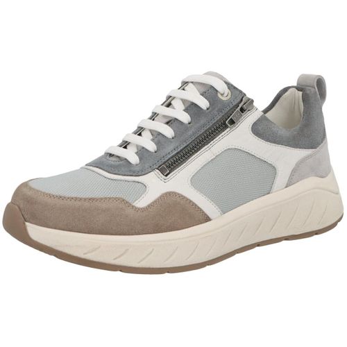 Baskets basses Solidus Ken - Solidus - Modalova