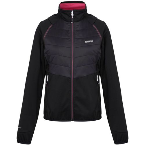 Blouson Regatta Steren II - Regatta - Modalova