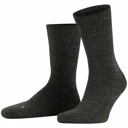 Chaussettes Falke Chaussettes - Falke - Modalova