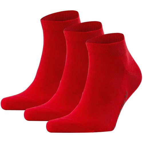 Chaussettes Falke Chaussettes - Falke - Modalova