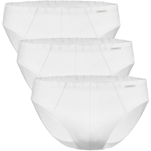 Slips Slip Cotton More Mini Slip 3P - Ammann - Modalova