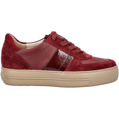 Baskets basses Paul Green Sneaker - Paul Green - Modalova