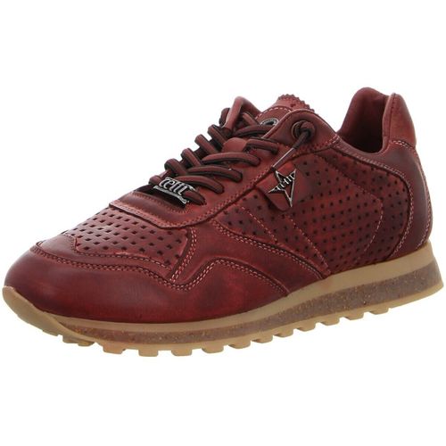Baskets Cetti - Cetti - Modalova