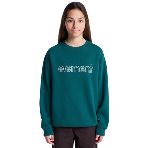 Sweatshirts Central Lowcase Cr Y - Element - Modalova