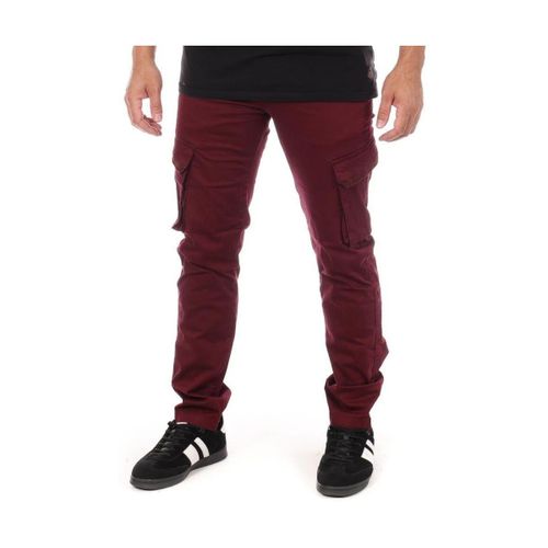 Pantalon Paname Brothers Live - Paname Brothers - Modalova