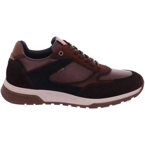 Baskets basses Fluchos - Fluchos - Modalova