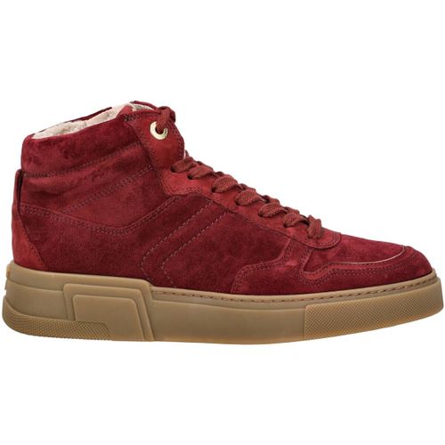 Baskets montantes Sneaker - Paul Green - Modalova