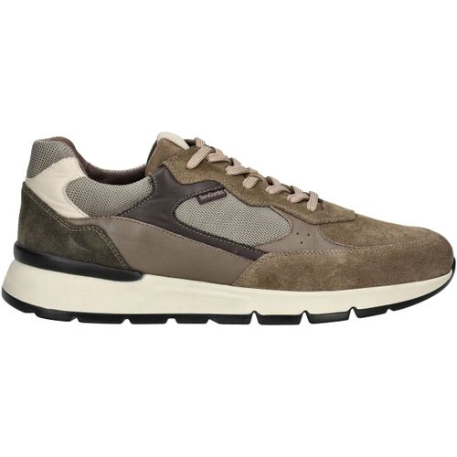 Baskets basses NeroGiardini Sneaker - NeroGiardini - Modalova