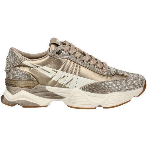 Baskets basses Steve Madden Sneaker - Steve Madden - Modalova