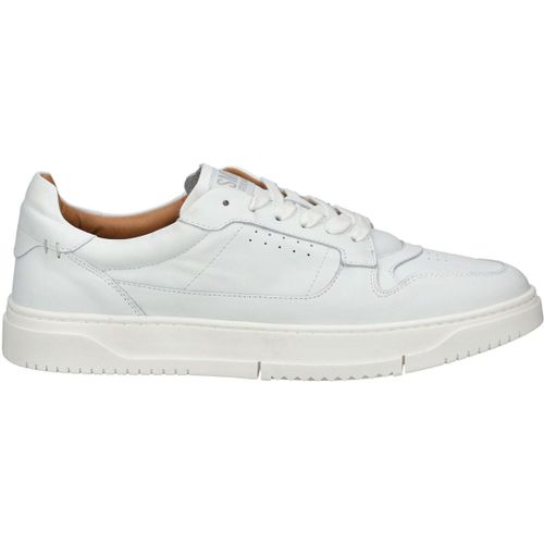Baskets basses Steve Madden Sneaker - Steve Madden - Modalova