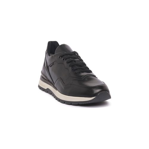 Baskets basses 400412100 - NeroGiardini - Modalova