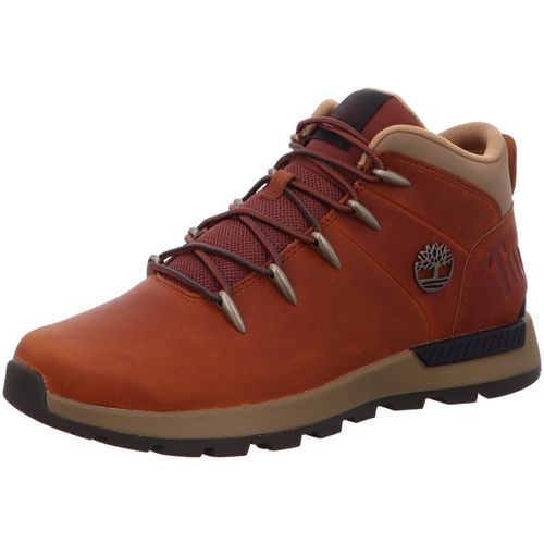 Baskets montantes Timberland - Timberland - Modalova