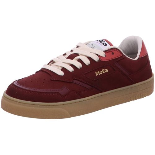 Baskets basses MOEA - MOEA - Modalova