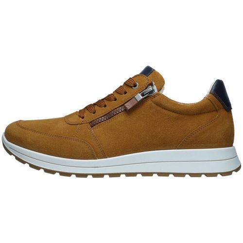 Baskets basses Ara - Ara - Modalova
