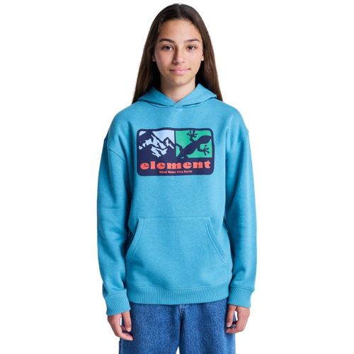 Sweatshirts à capuche Memory Po Y - Element - Modalova
