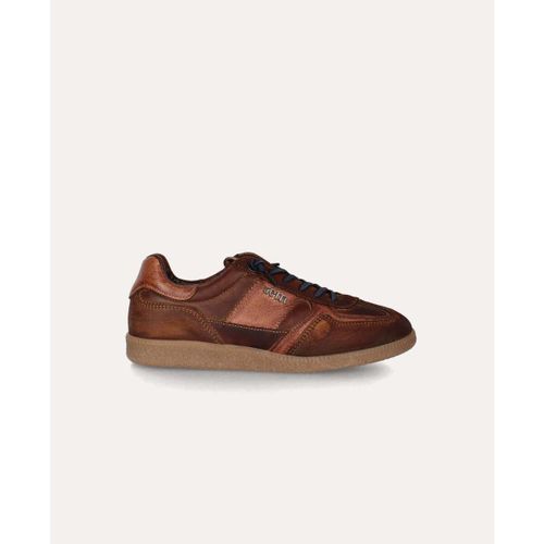 Baskets basses Cetti c-1395 h - Cetti - Modalova