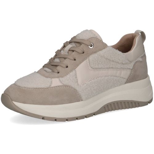 Baskets basses Caprice - Caprice - Modalova