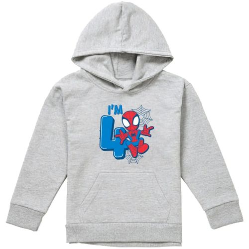Sweatshirts à capuche TV22768 - Marvel - Modalova