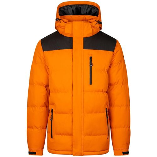 Blouson Trespass Ahr - Trespass - Modalova