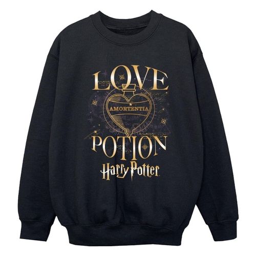 Sweatshirts Harry Potter BI53390 - Harry Potter - Modalova