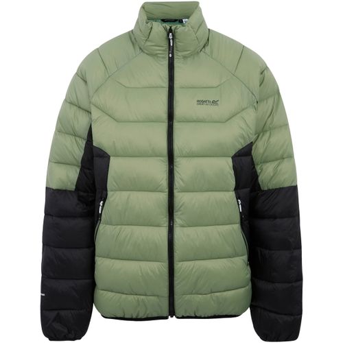 Blouson Regatta Dalent - Regatta - Modalova