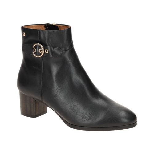 Bottines Pikolinos - Pikolinos - Modalova