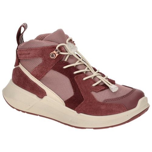 Baskets montantes Ecco - Ecco - Modalova