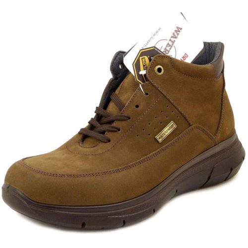 Boots Chaussure , Bottine, Nubuck imperméable, Lacets - 36105 - Luisetti - Modalova