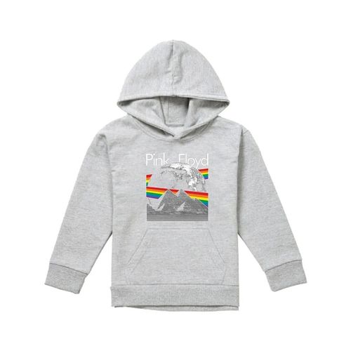 Sweatshirts à capuche The Moon - Pink Floyd - Modalova