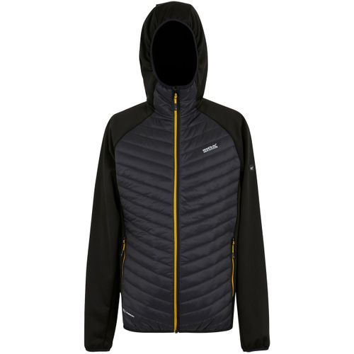 Veste Regatta Andreson - Regatta - Modalova