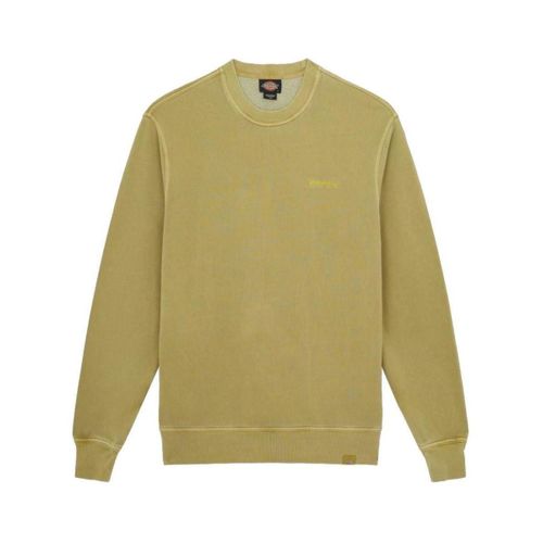 Sweatshirts Dickies DK0A864HL201 - Dickies - Modalova