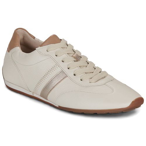 Baskets basses Gabor CLAUDIE - Gabor - Modalova