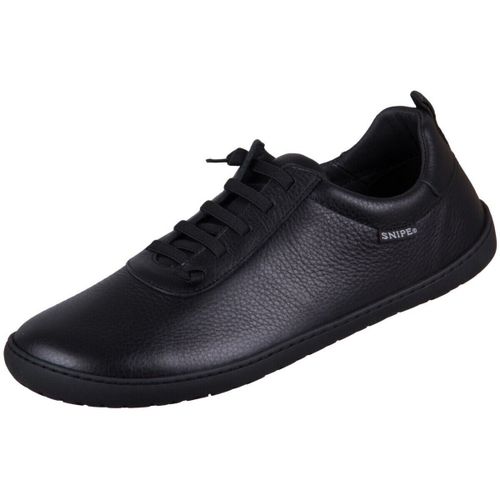 Baskets basses Snipe - Snipe - Modalova