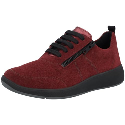 Baskets Solidus Halea - Solidus - Modalova
