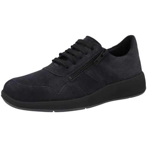 Baskets Solidus Halea - Solidus - Modalova