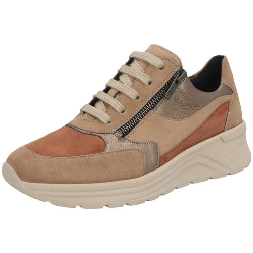 Baskets basses Solidus Holly - Solidus - Modalova